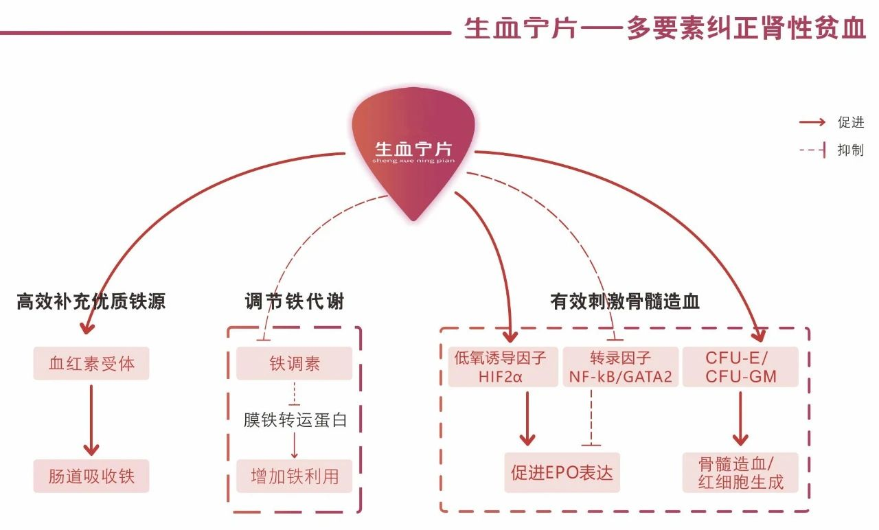 ׯ�к���Ϸ(�й�)�ɷ����޹�˾-����